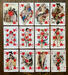 Casanova playing cards