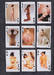 Playing cards Erotic 9