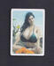 Playing cards Adult 13