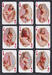 Playing cards Erotic lot 11