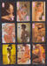 Playing cards Erotic lot 12