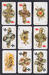 Playing cards in Russian style 36