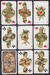 Playing cards in Russian style