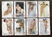 Playing cards Chinese erotic 8